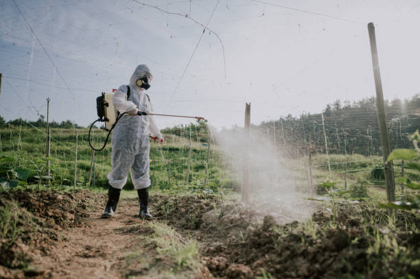 Best Ant Control Services  in Kiryas Joel, NY