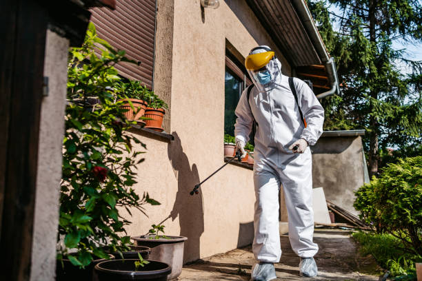 Best Residential Pest Control  in Kiryas Joel, NY
