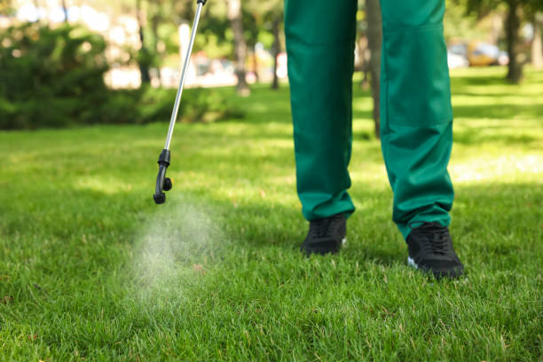Best Cockroach Control Services  in Kiryas Joel, NY