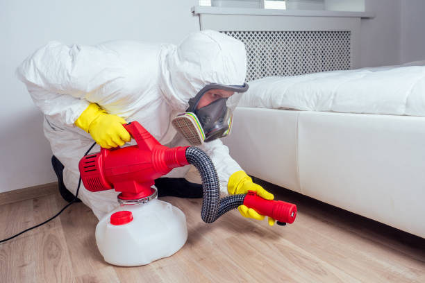 Best Rat Extermination Near Me  in Kiryas Joel, NY