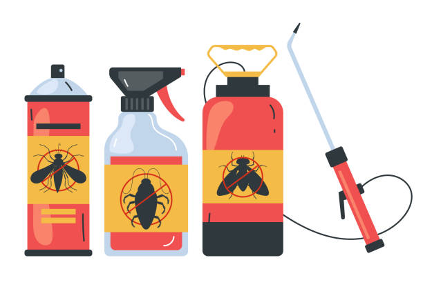 Best Affordable Pest Control Services  in Kiryas Joel, NY
