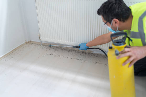 Pest Prevention Services in Kiryas Joel, NY